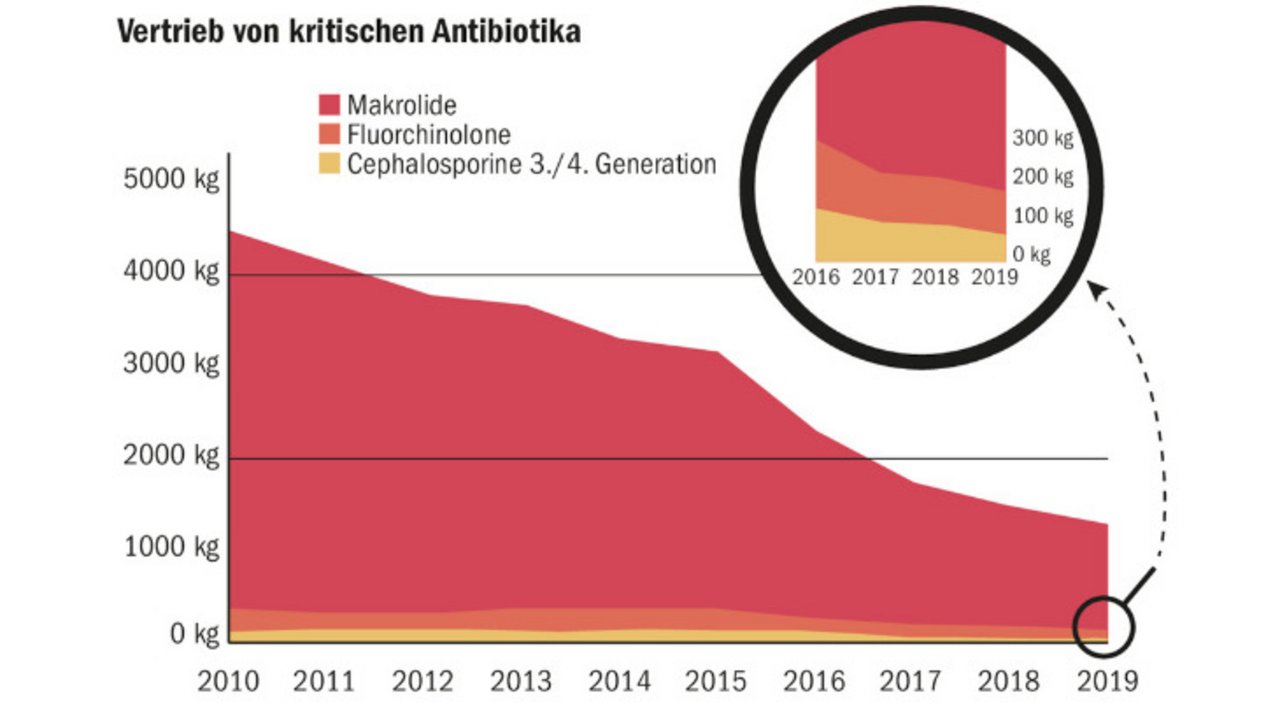 Diese Grafik zeigt, dass der Einsatz von kritischen Antibiotika in der Veterinärmedizin in den vergangenen zehn Jahren, bis 2019, deutlich abnahm. (Grafik BLV)