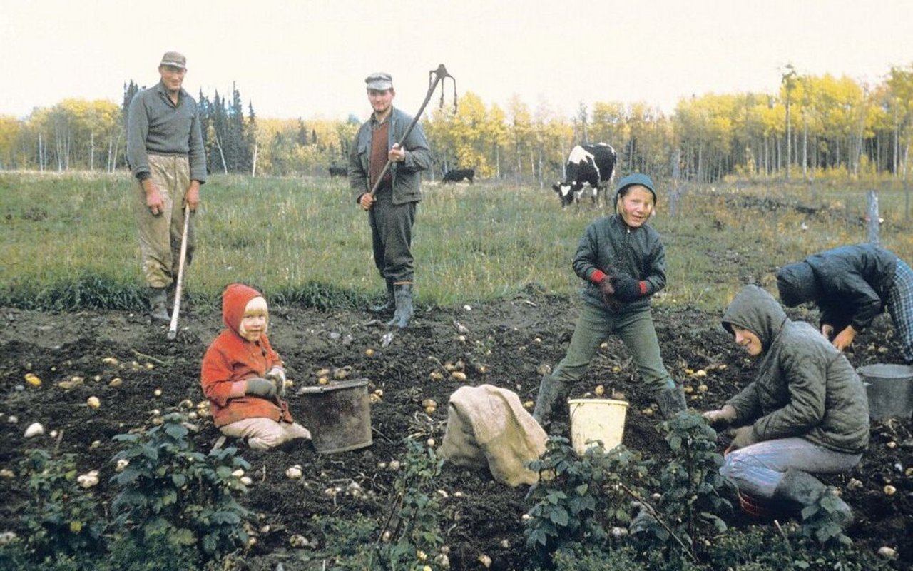 Bevor der Schnee kam, musste der Garten abgeräumt werden. Die Kartoffelernte war immer eine wichtige Familiensache.