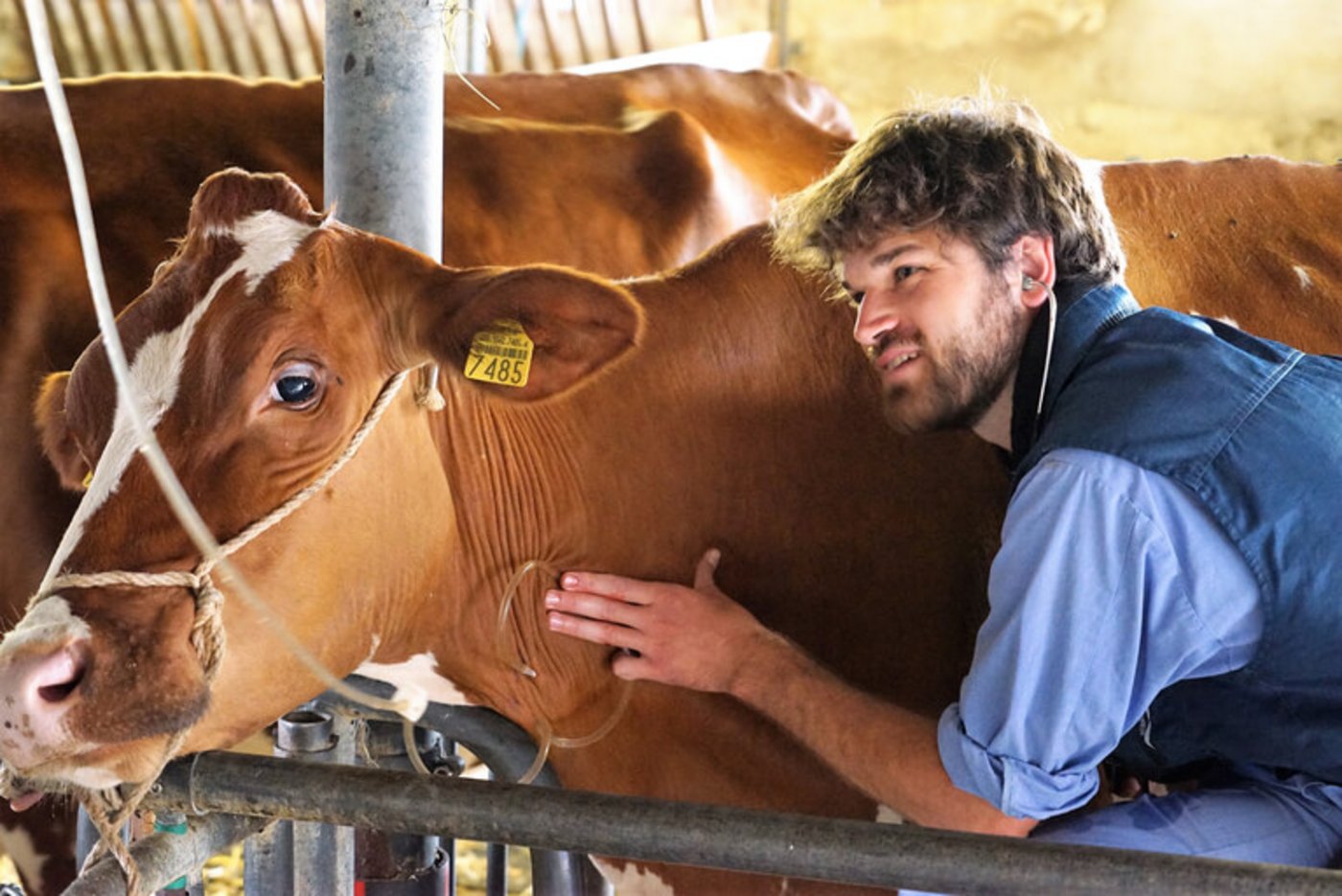 Die Nachfrage nach Tierärztinnen und Tierärzten steigt. (Symbolbild/mr)