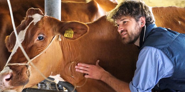 Die Nachfrage nach Tierärztinnen und Tierärzten steigt. (Symbolbild/mr)