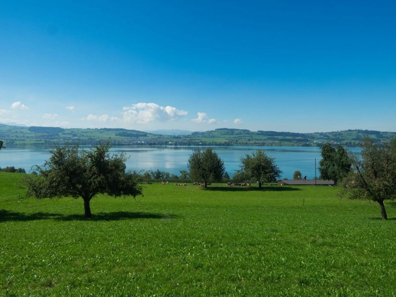 Der Kanton Luzern muss 41'500 Hektaren Fruchtfolgefläche kartieren. (Bild lid)