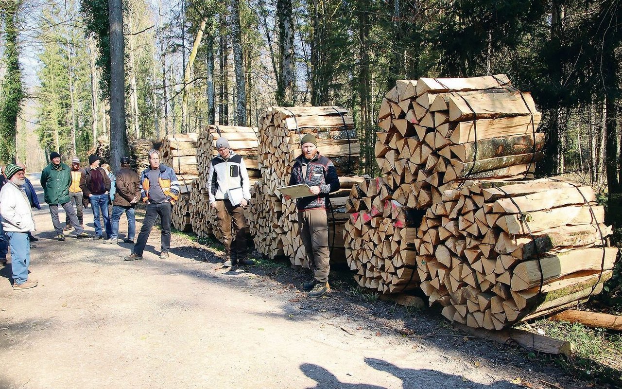 An der diesjährigen Brennholzgant in Kleinandelfingen hat Revierförster Oliver Bieri (ganz rechts) 41 von insgesamt 42 Losen versteigert.