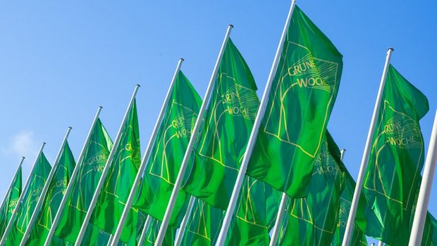 Seit 1926 international einzigartig Die Internationale Grüne Woche (IGW) findet im Januar 2018 nun schon zum 83. Mal statt. (Bild zVg)