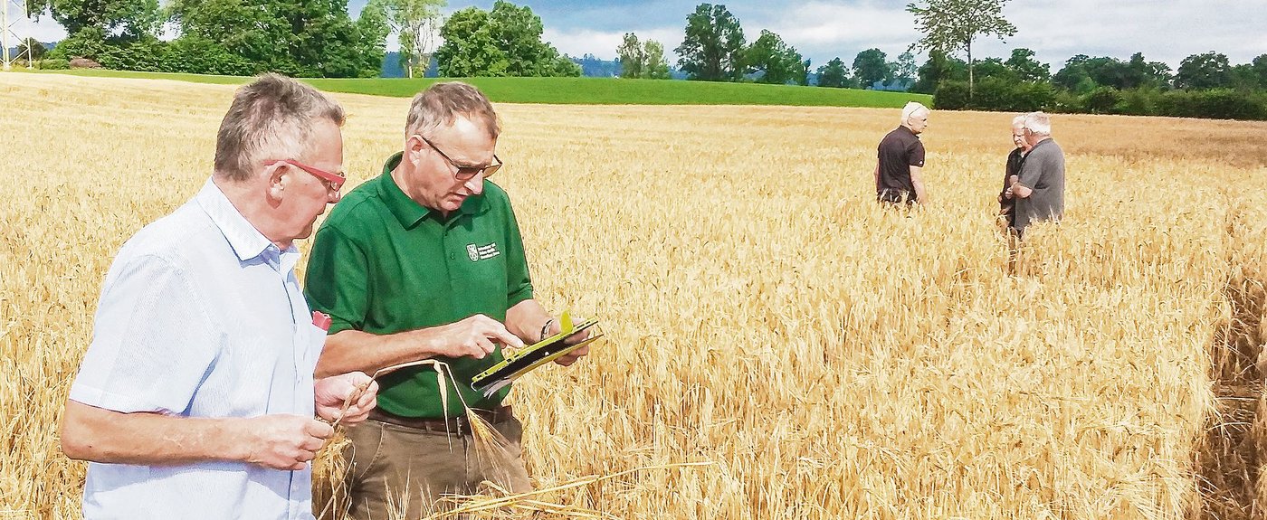 Um eine möglichst objektive und richtige Schadensbeurteilung zu gewährleisten, werden die Schäden von zwei Schadenfachpersonen begutachtet. (Bild Schweizer Hagel)