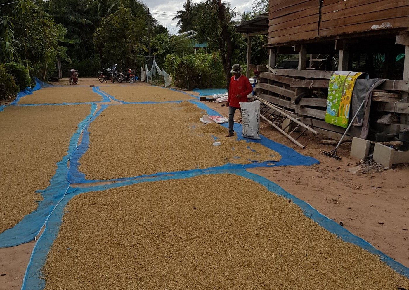 Vor dem Regen und... (Bild Urs Morf)