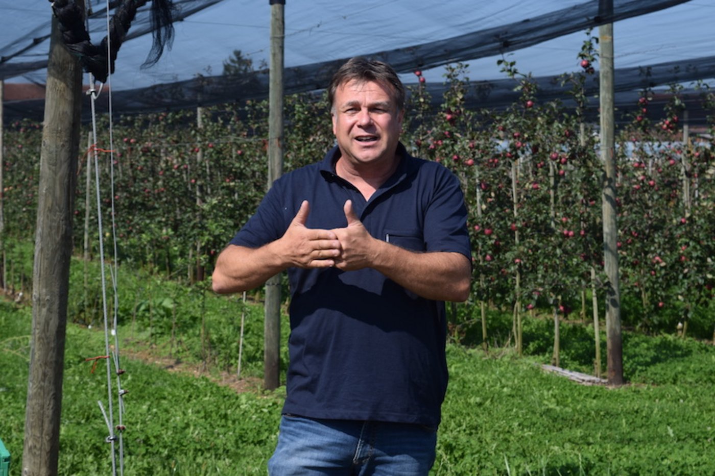 Beat Lehner züchtet seit 25 Jahren an Apfelsorten. Mit "Magic Star" kommt nächstes Jahr eine Sorte aus der eigenen Züchtung in den Laden.