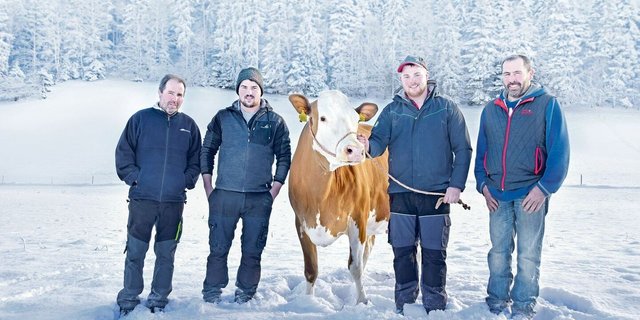 Ueli und seine Söhne Ueli und Christian sowie sein Bruder Niklaus Berger (v. l. n. r.). An der Halfter ihre wunderschöne Schönegg Odyssey Suleika (55 55 96 / EX-91).