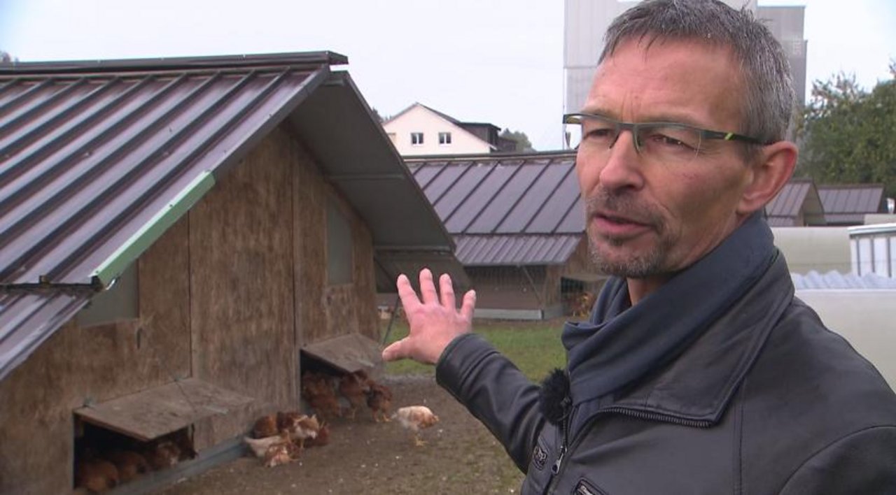 Bio-Suisse-Präsident Urs Brändli wehrt sich im Interview mit «Rundschau» gegen die Vorwürfe. (Bild Screenshot srf.ch)