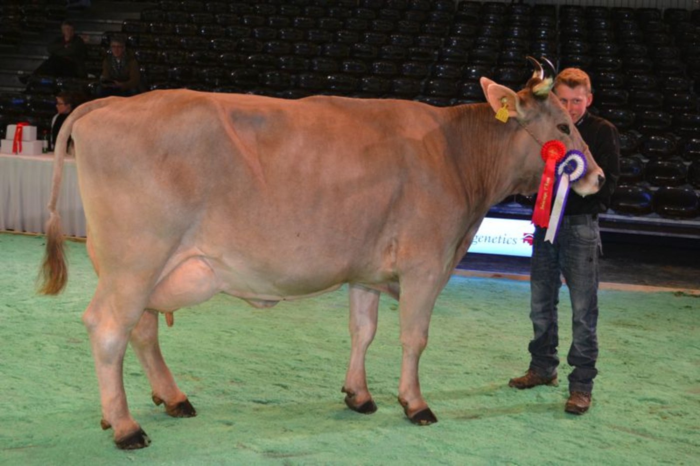 Reserve Champion: Mirano Malta, Markus Meili, Nufenen