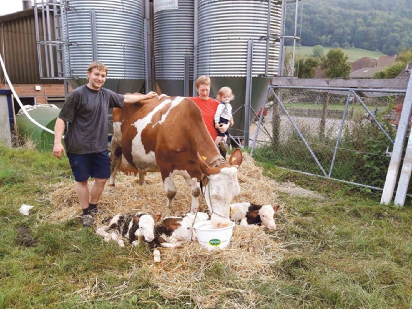 Familie Tanner kann sich über dreifachen gesunden Nachwuchs von Kuh Lea freuen. (Bild Roland Müller)