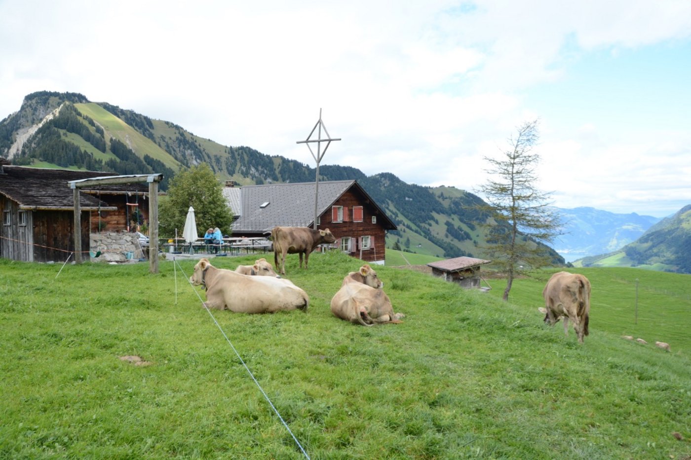 Über den Sommer werden hier 27 Kühe von fünf Bauern betreut. 
