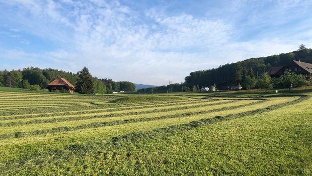 Futterbau im Frühling Wer im Futterbau hohe Erträge erzielen will, sollte die Bodenfruchtbarkeit nicht ausser Acht lassen. (Bild Jasmine Baumann)