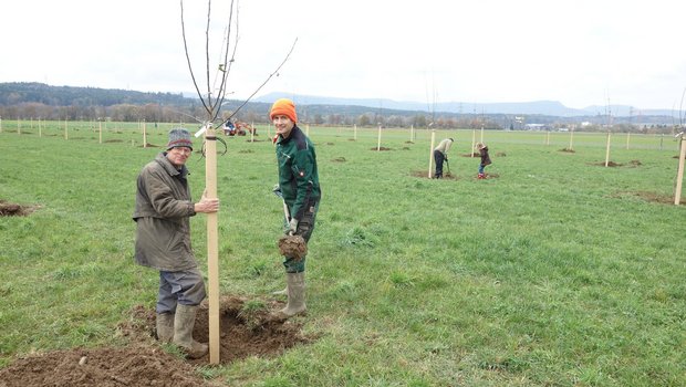 Hochstamm-Obstgärten sind Generationenprojekte. Bei der Pflanzung hatte Manfred Müller (mit oranger Mütze) Unterstützung von der ganzen Familie. (Bild Niklaus Trottmann)