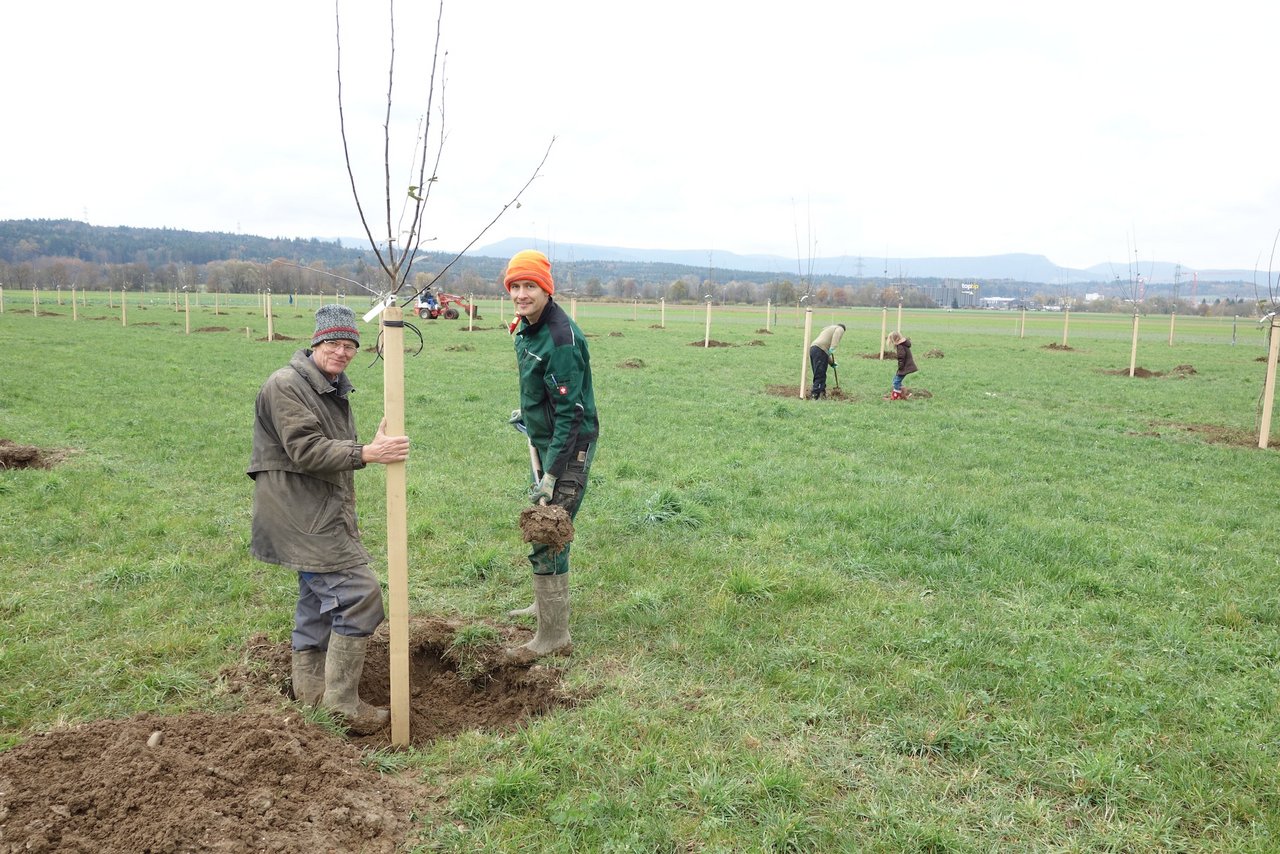 Hochstamm-Obstgärten sind Generationenprojekte. Bei der Pflanzung hatte Manfred Müller (mit oranger Mütze) Unterstützung von der ganzen Familie. (Bild Niklaus Trottmann)
