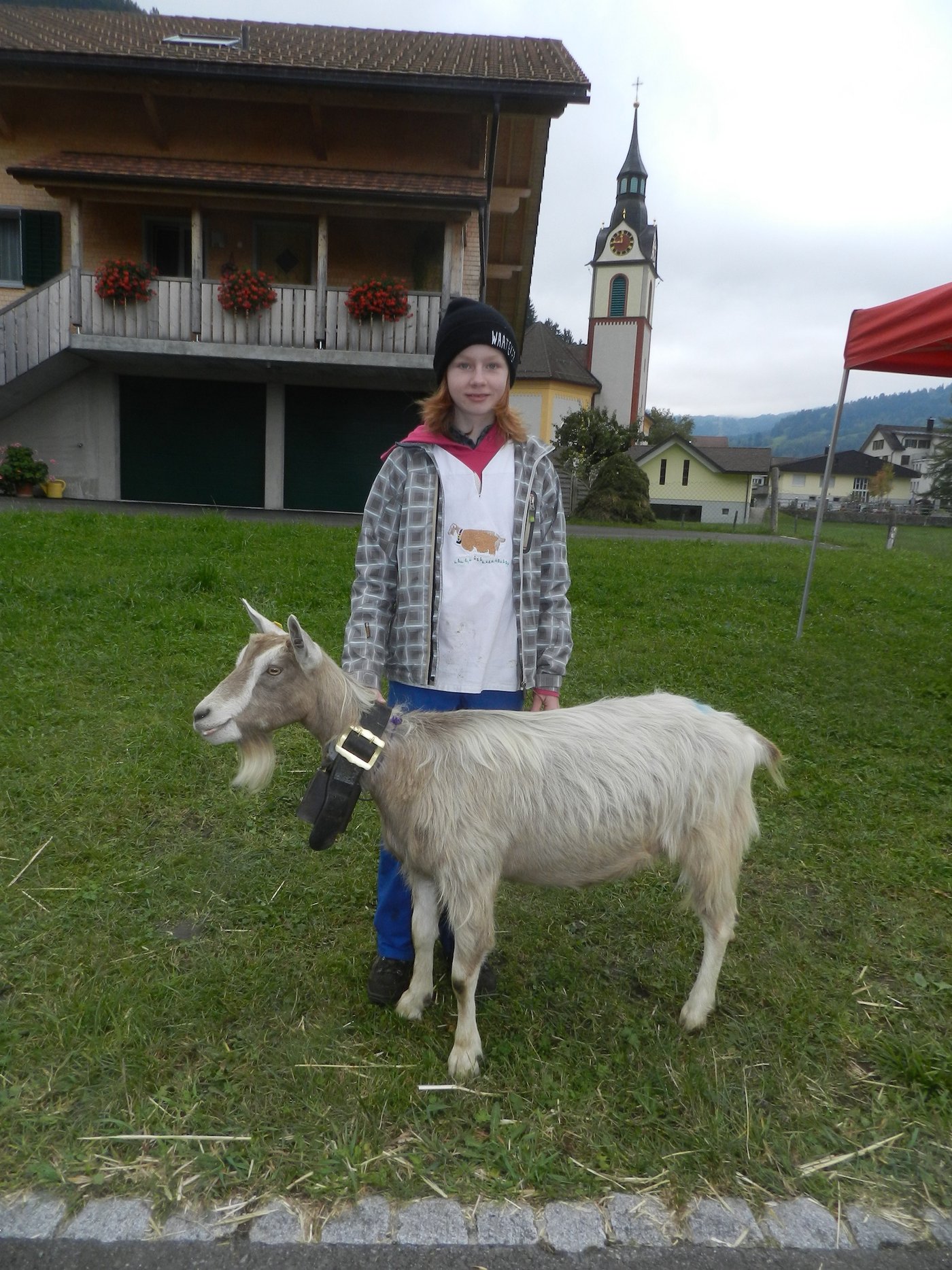 Den Schöneuterpreis gewann "Denna" aus dem Stall von Paul Marty aus Studen. Präsentiert wurde das Siegertier von seiner Tochter Corinne.