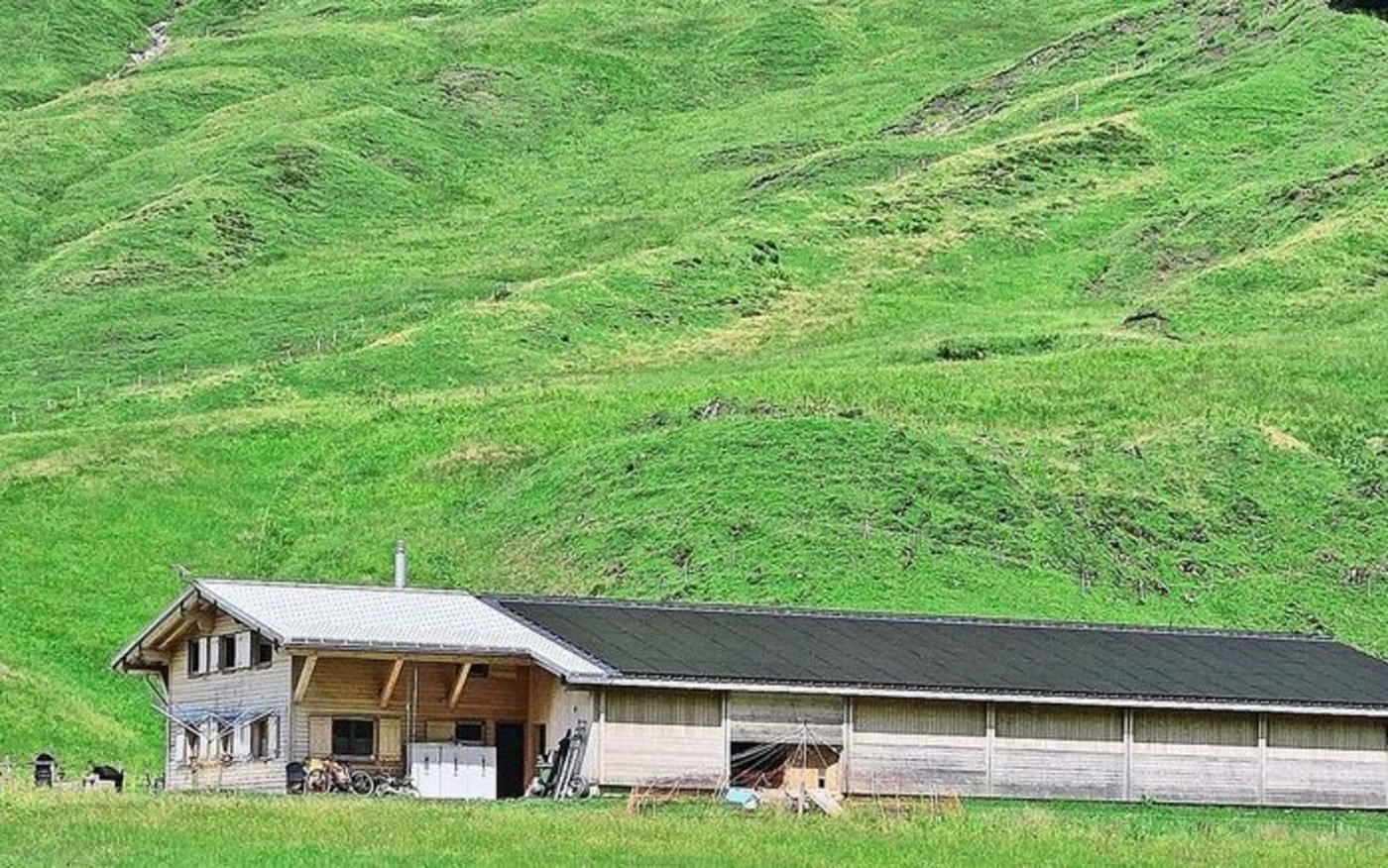Auf dem Dach des neuen Alpgebäudes der Familie Betschart wurde eine 400 Quadratmeter grosse Photovoltaikanlage installiert.