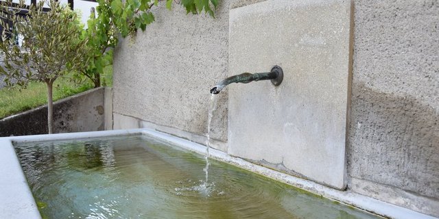 Die Initianten der Pestizidverbots-Initiative stört sich unter anderem daran, dass der Absenkpfad keine spezifischen Ziele für die öffentliche Gesundheit festlegt. (Bild BauZ)