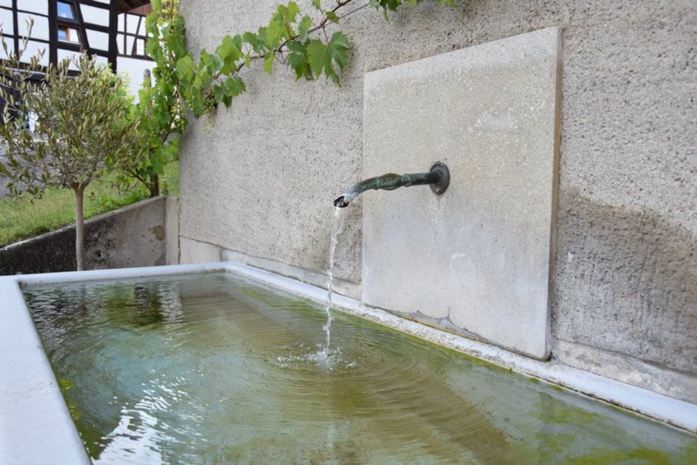 Die Initianten der Pestizidverbots-Initiative stört sich unter anderem daran, dass der Absenkpfad keine spezifischen Ziele für die öffentliche Gesundheit festlegt. (Bild BauZ)