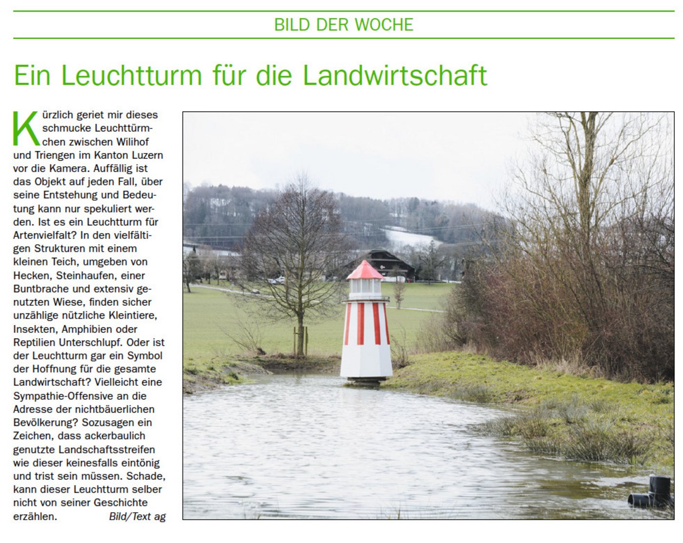 Die Rubrik "Bild der Woche" vom Februar dieses Jahres.