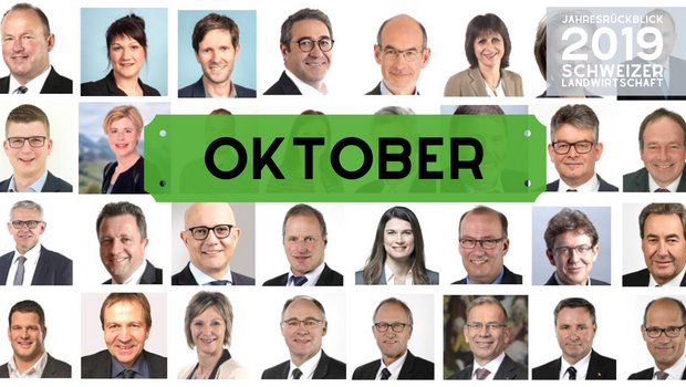 Jahresrückblick 2019 - Monat Oktober (Bild: BauZ)