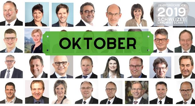 Jahresrückblick 2019 - Monat Oktober (Bild: BauZ)
