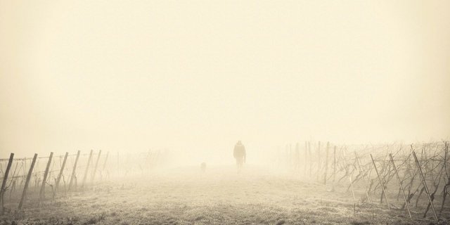 Erscheint einem im Winter alles trübe, man ist niedergeschlagen, antriebslos und gereizt, könnte man an Winterblues oder sogar an einer saisonal abhängigen Depression (manchmal auch Winterdepression genannt) leiden. 