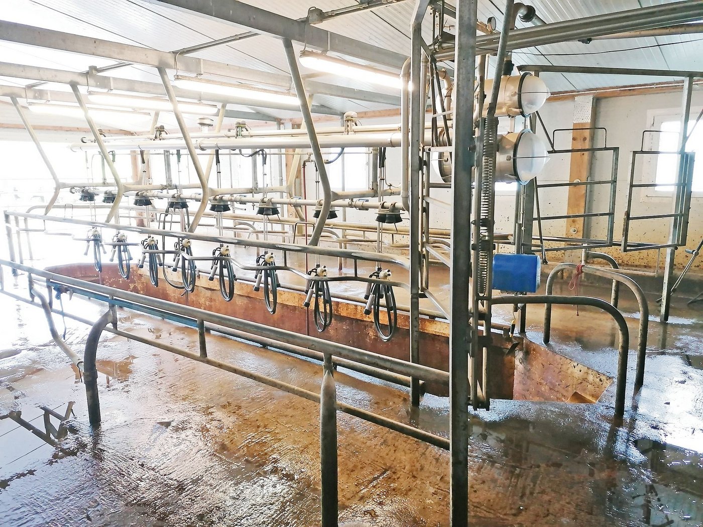 Der besonders leise Melkstand neuseeländischer Hersteller wurde verschifft und in die Schweiz importiert.