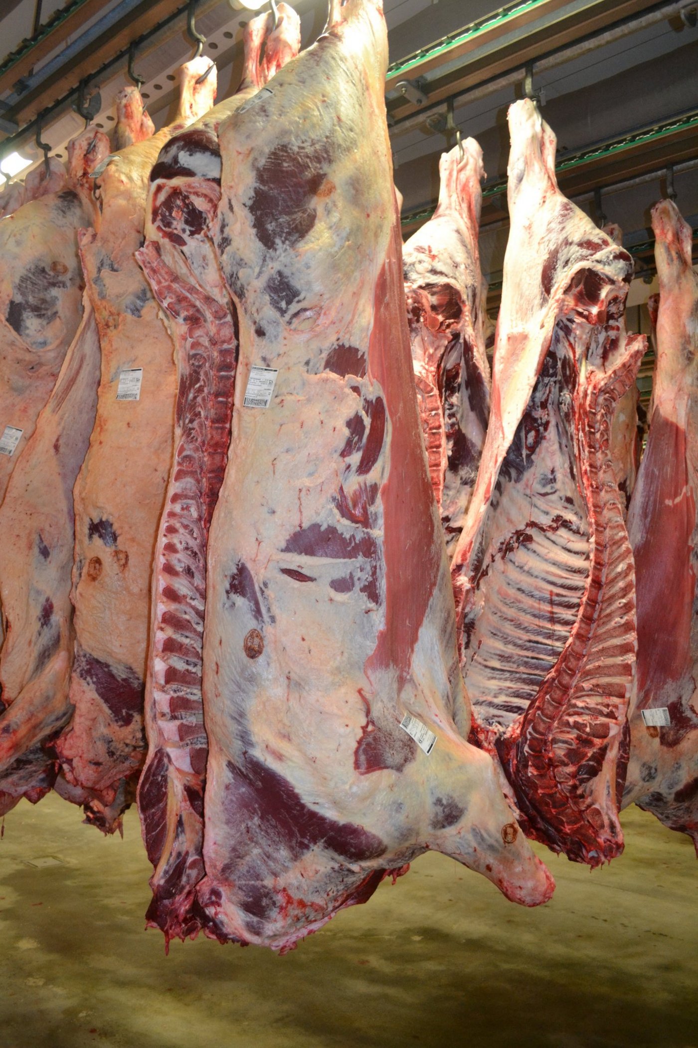 itarbeiter der brasilianischen Gesundheitsbehörden sollen den Ermittlungen zufolge bestochen worden sein, um den Verkauf von verdorbenem Rindfleisch zuzulassen. (Symbolbild BauZ)