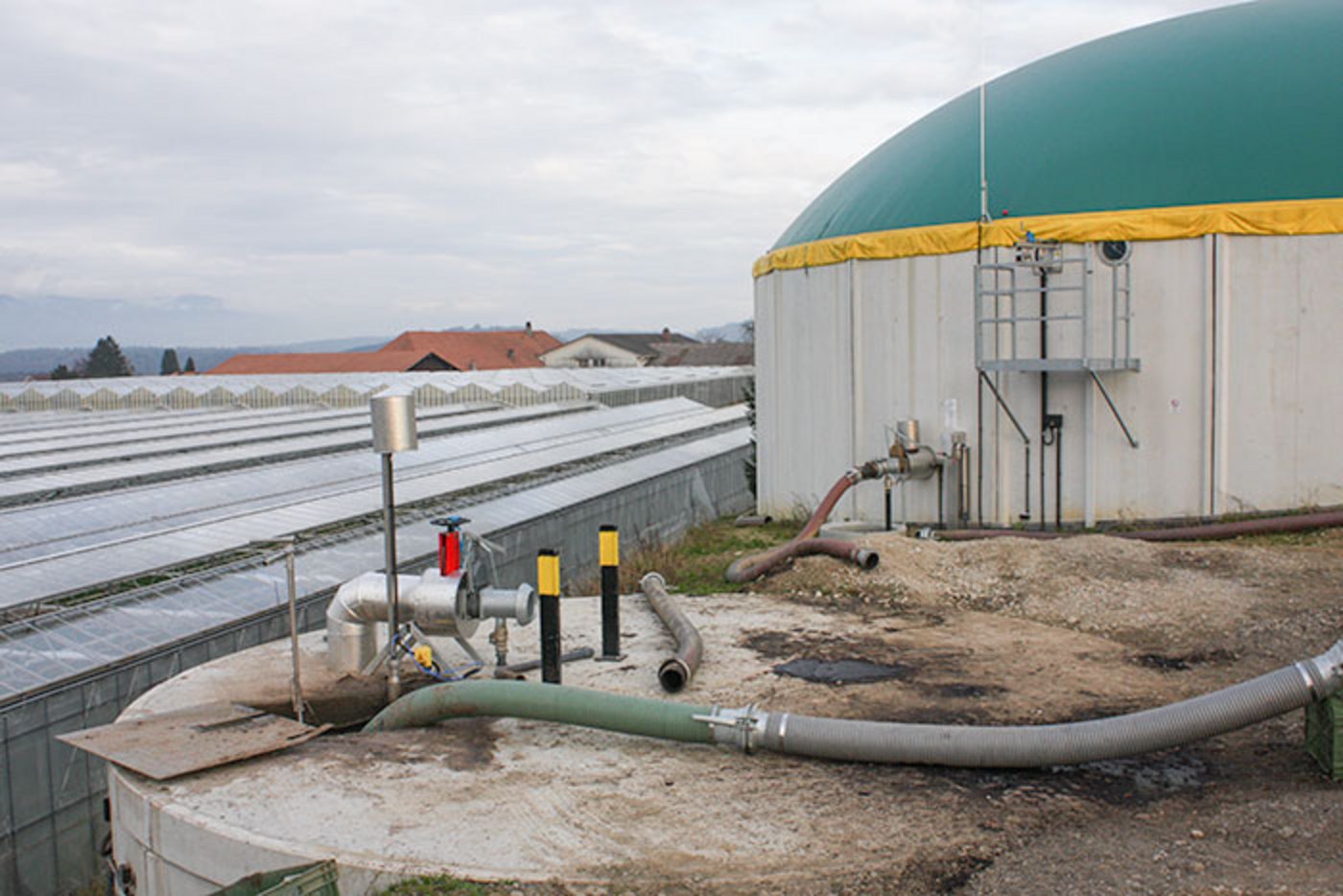 Auch Biogasanlagen sind ins virtuelle Kraftwerk eingebunden. (Bild D. Eppenberger)