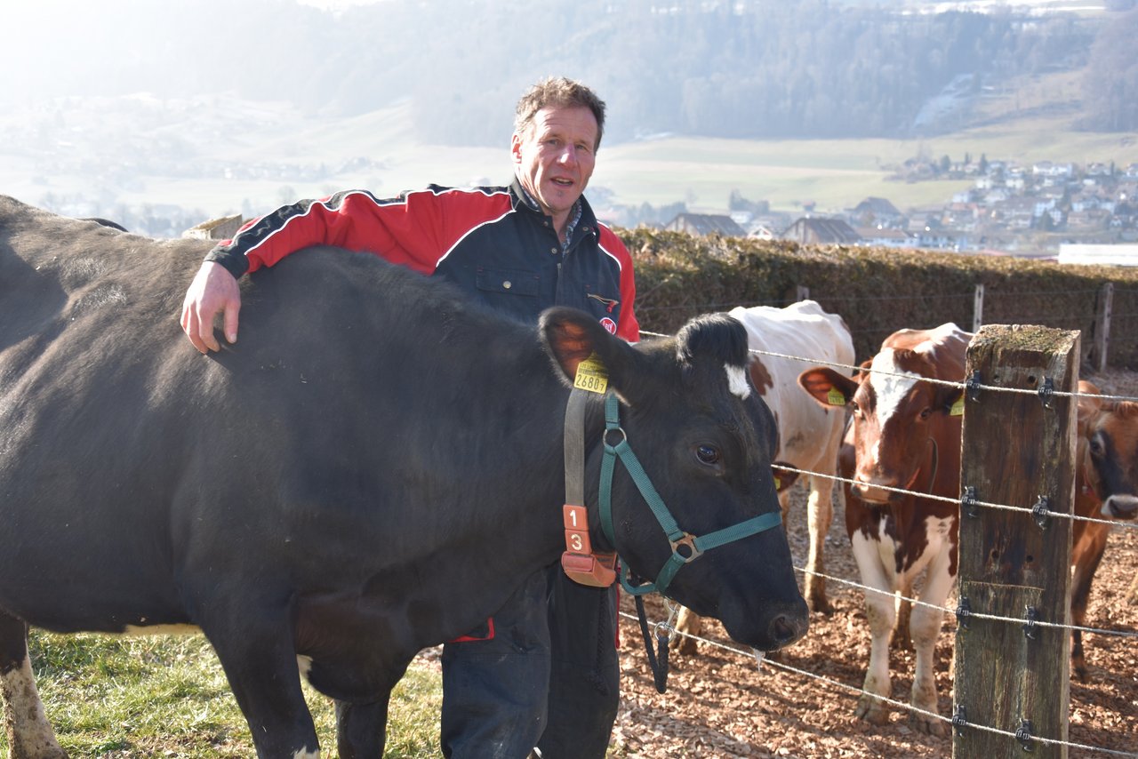 Ueli Oppliger aus Toffen BE mit seiner Triple-Kuh Bonita. (Bild Peter Fankhauser)