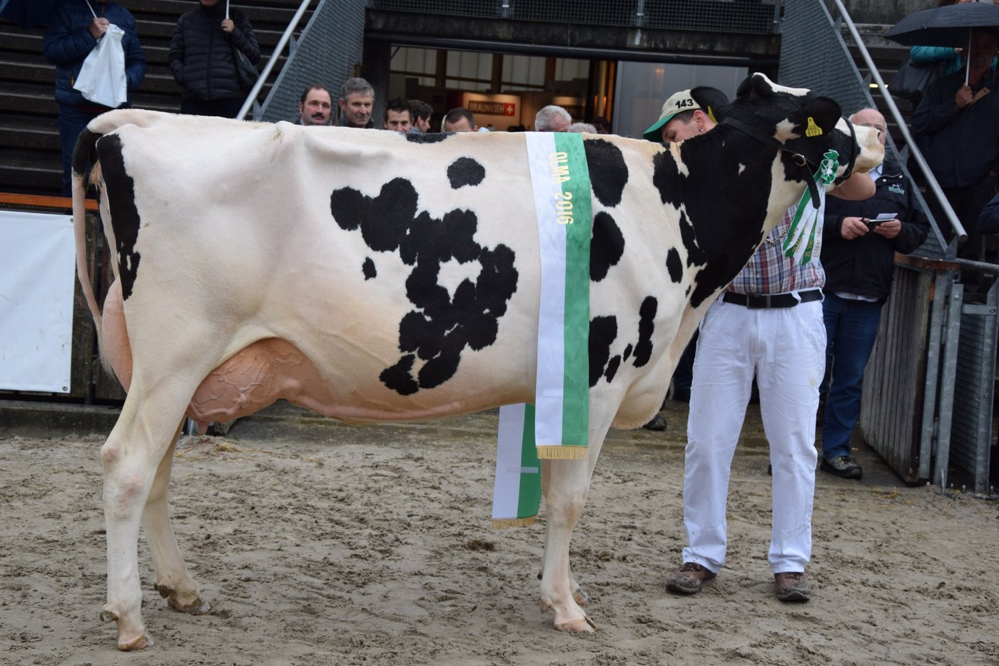 Sie gewann die Holsteinkonkurrenz: Eigenmannshof Windbrook Arina von René Eigenmann aus Berg. (Bilder Peter Fankhauser)