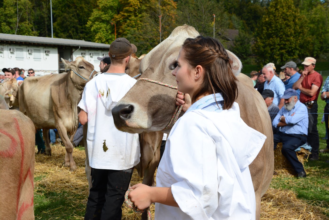 Impressionen aus dem Vorführring.