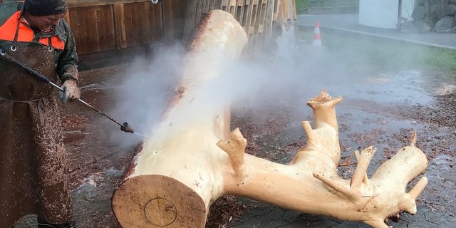 Sepp Koller ist geübt im Brunnenschälen. Die Fichte eignet sich gut für einen Brunnen. (Bild zVg)