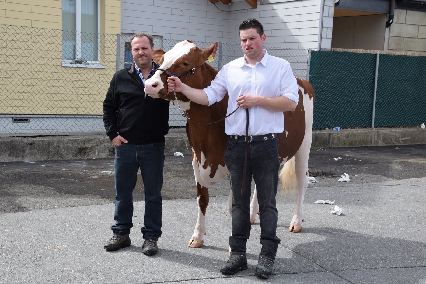 Reserve-Junior-Champion wurde die kapitale Odyssey Felicia von Hans und Markus Fankhauser, Süderen BE.