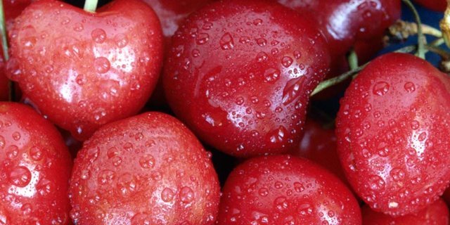 Die heimische Kirschensaison hat begonnen. (Bild Archiv BauZ)