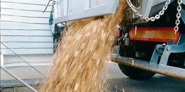 Holzschnitzel aus Schweizer Wäldern fallen immer mehr an. Die werden vermehrt für grosse Heizwerke verwendet, um Fernwärmenetze zu betreiben. (Bild Holzenergie Schweiz)