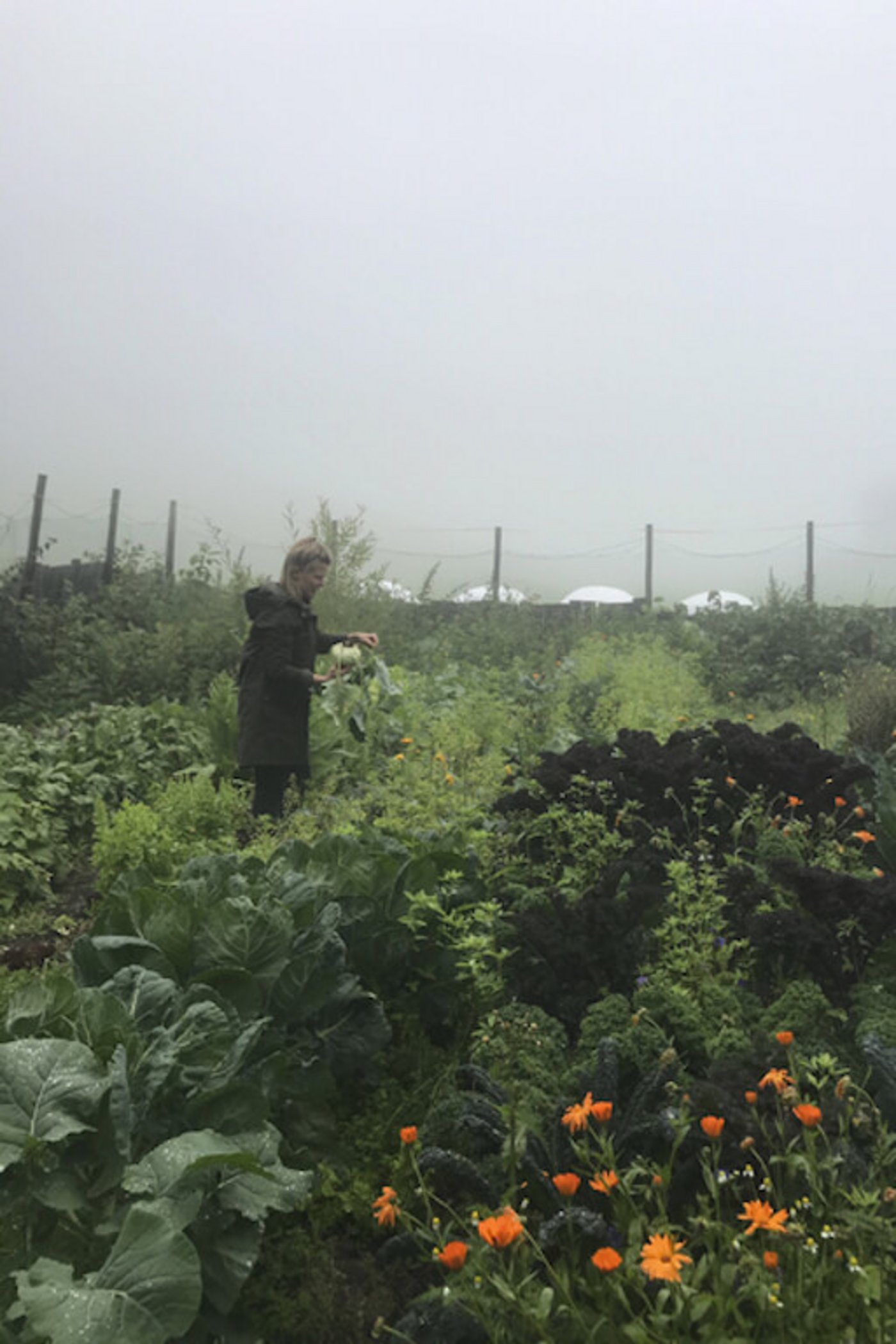 Leonie von Arx experimentiert im Gemüsegarten gerne und setzt auf Mischkulturen. (Bild lid)