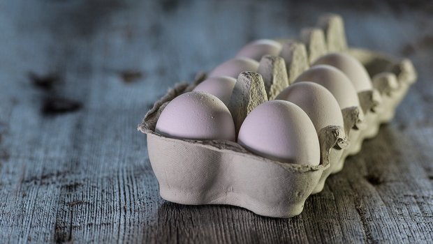 Die Versorgung mit Konsumeiern sei sichergesellt, nur bei den Bio-Eiern werde es knapp, so Gallo Suisse. (Bild Pixabay)