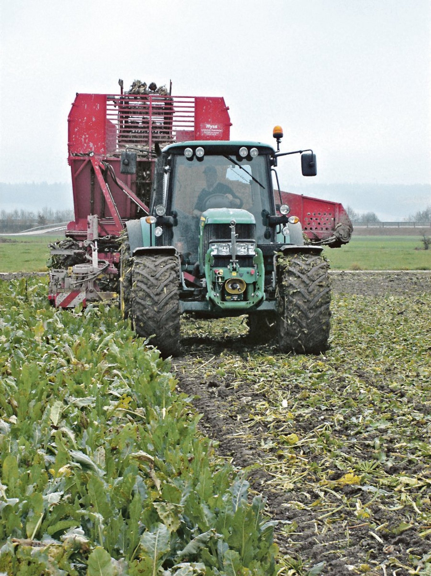 Nasse Böden erschweren die Rübenernte.(Bild BauZ)