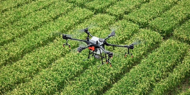 Die Inhaber der Bewilligung wollten keine Aktieneinsicht gewähren. (Symbolbild Pixabay)