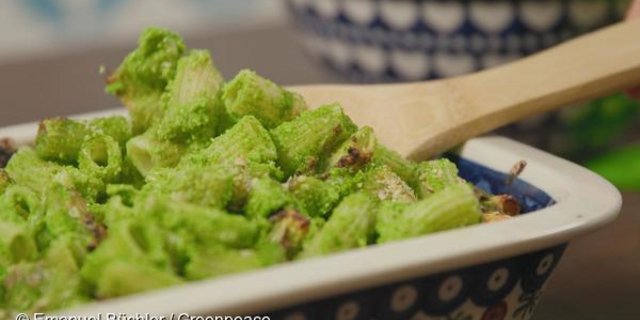 Dieser Gratin ist nicht nur farblich grün, sondern auch gut fürs Klima. Drei weitere unkomplizierte Rezepte laden zum Nachkochen ein. (Bild Greenpeace)