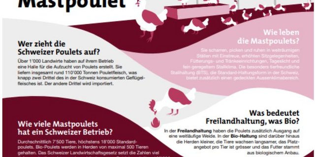 Ausschnitt aus der Thementafel Mastpoulet. (Bild lid)