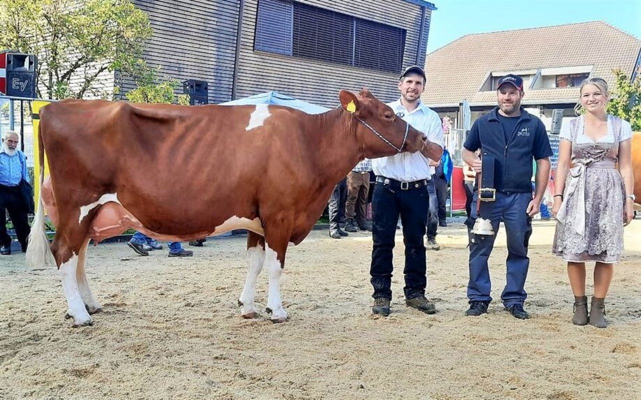 Swiss-Fleckvieh-Kuh Odyssey Bea von Roger Dahinden aus Hasle wurde Miss.