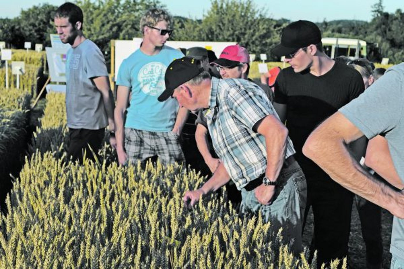 Im Versuch wurde gezeigt, mit welchen Einstellungen eine möglichst gleichmässige Verteilung des Pflanzenschutzmittels  erreicht wird - 