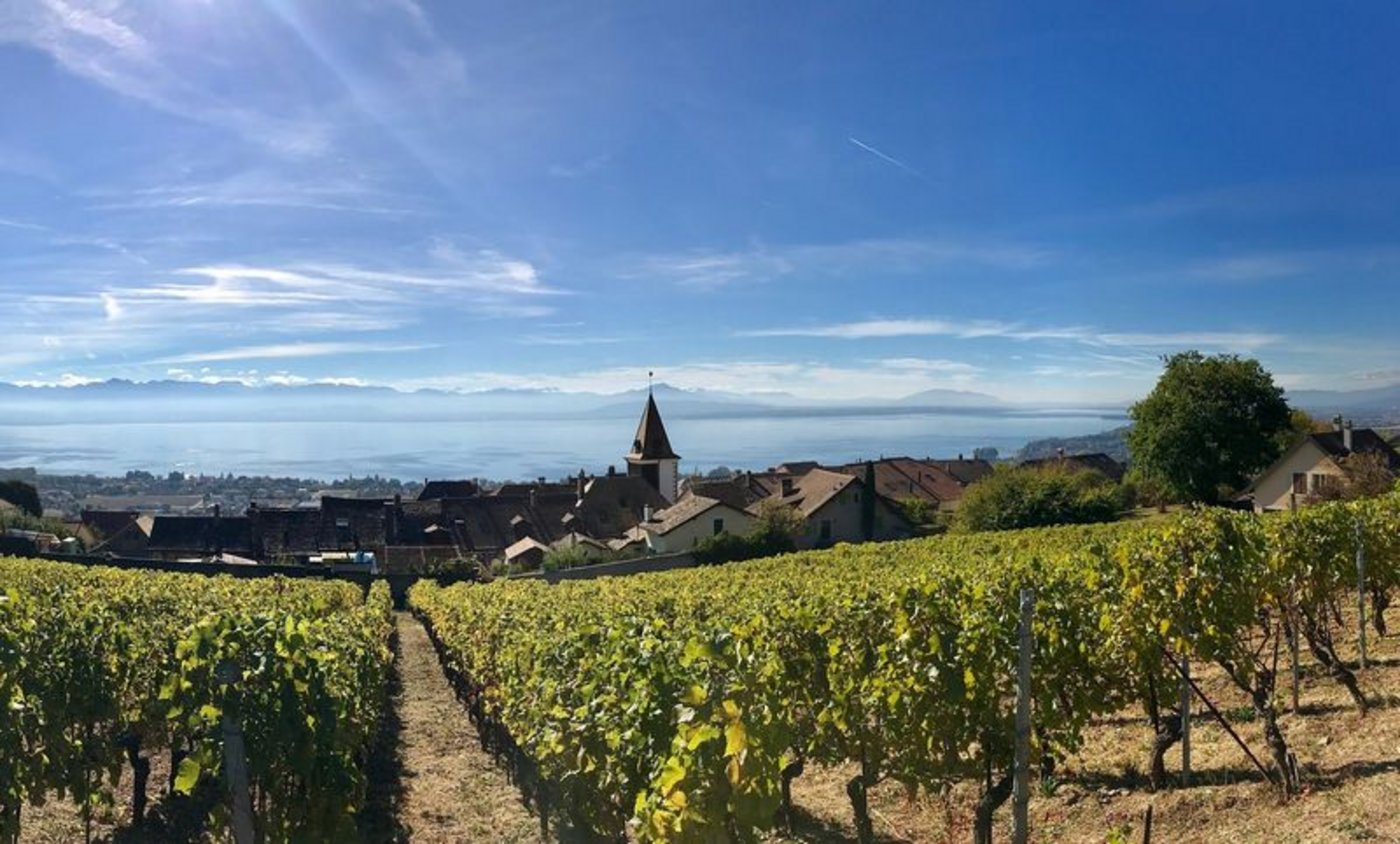 Für die Statistik wurden Daten von 509 Waadtländer Betrieben, d.h. 14% der 3'616 Höfe im Kanton ausgewertet. Das bedeutet laut Prométerre eine gute Repräsentativität. (Bild Pixabay)