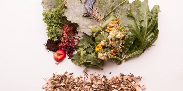 Beim Kompost ist die Mischung wichtig. (Foto: Eveline Dudda)