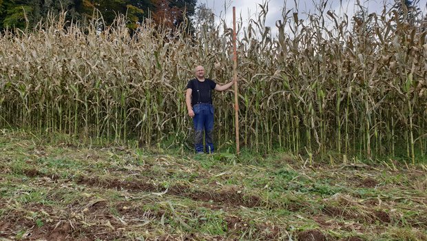 Stefan Rohrbach macht gute Erfahrungen mit der Dammkultur. Seine Maisbestände sind immer über drei Meter hoch und geben für seine Verhältnisse gute Erträge. (Bild Stefan Rohrbach)