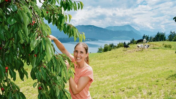 Laura Landolt ist gerne draussen unterwegs. Jetzt sind die ersten Kirschen reif. Im Hintergrund sind der Vierwaldstättersee und der Bürgenstock zu sehen. (Bild Franziska Jurt)