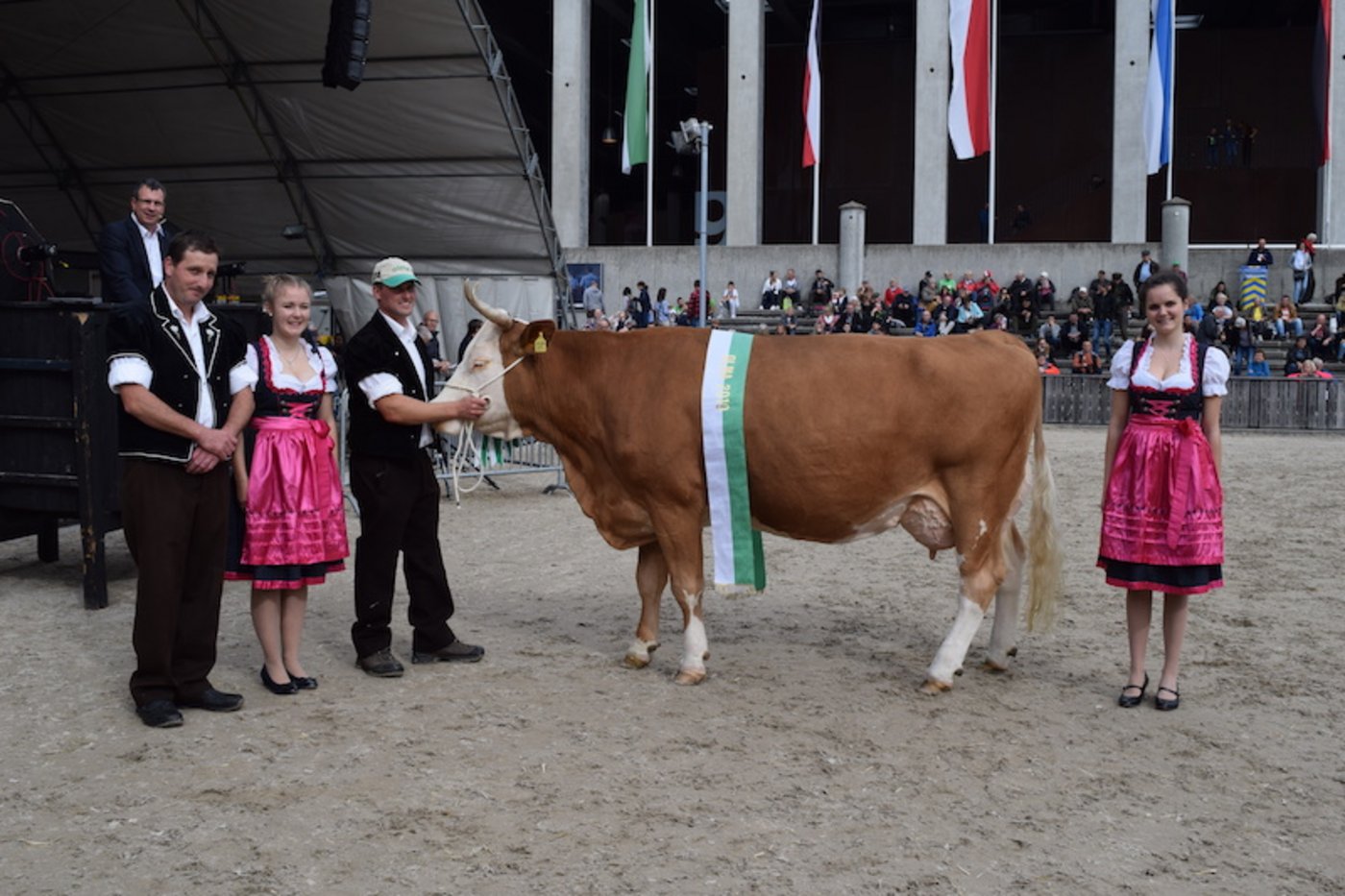 Beim Fleckvieh setzte sich Simmental-Kuh Corona von Adrian Haldimann, Schwarzenegg BE, durch.