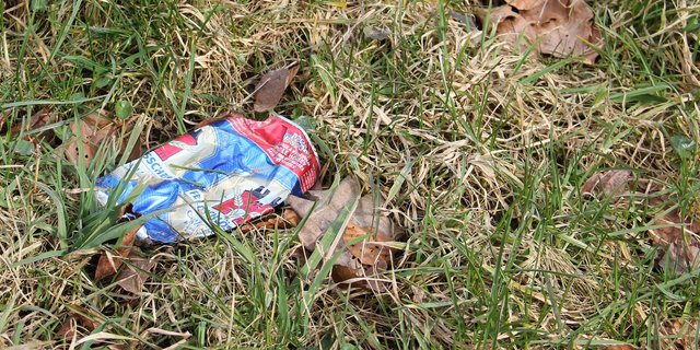 So soll es in Zukunft auf Schweizer Wiesen nicht mehr aussehen: Littering sei aber ein gesellschaftliches Problem und lasse sich nicht in einem Jahr beheben, so der SBV. (Bild: SBV)